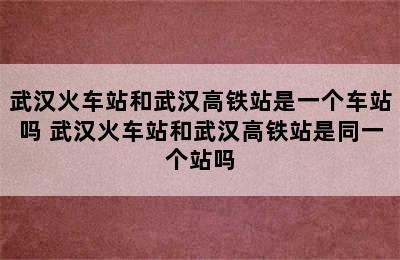 武汉火车站和武汉高铁站是一个车站吗 武汉火车站和武汉高铁站是同一个站吗